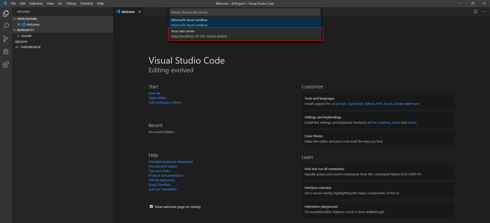 Visual Studio Code - Aushwal des lokalen Servers